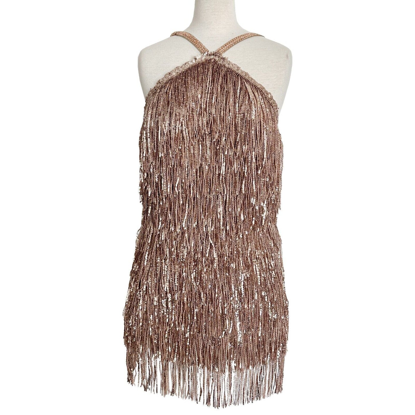 Bronx and Banco Isle Rose Gold Pink Sequin Fringe Metallic Mini Dress